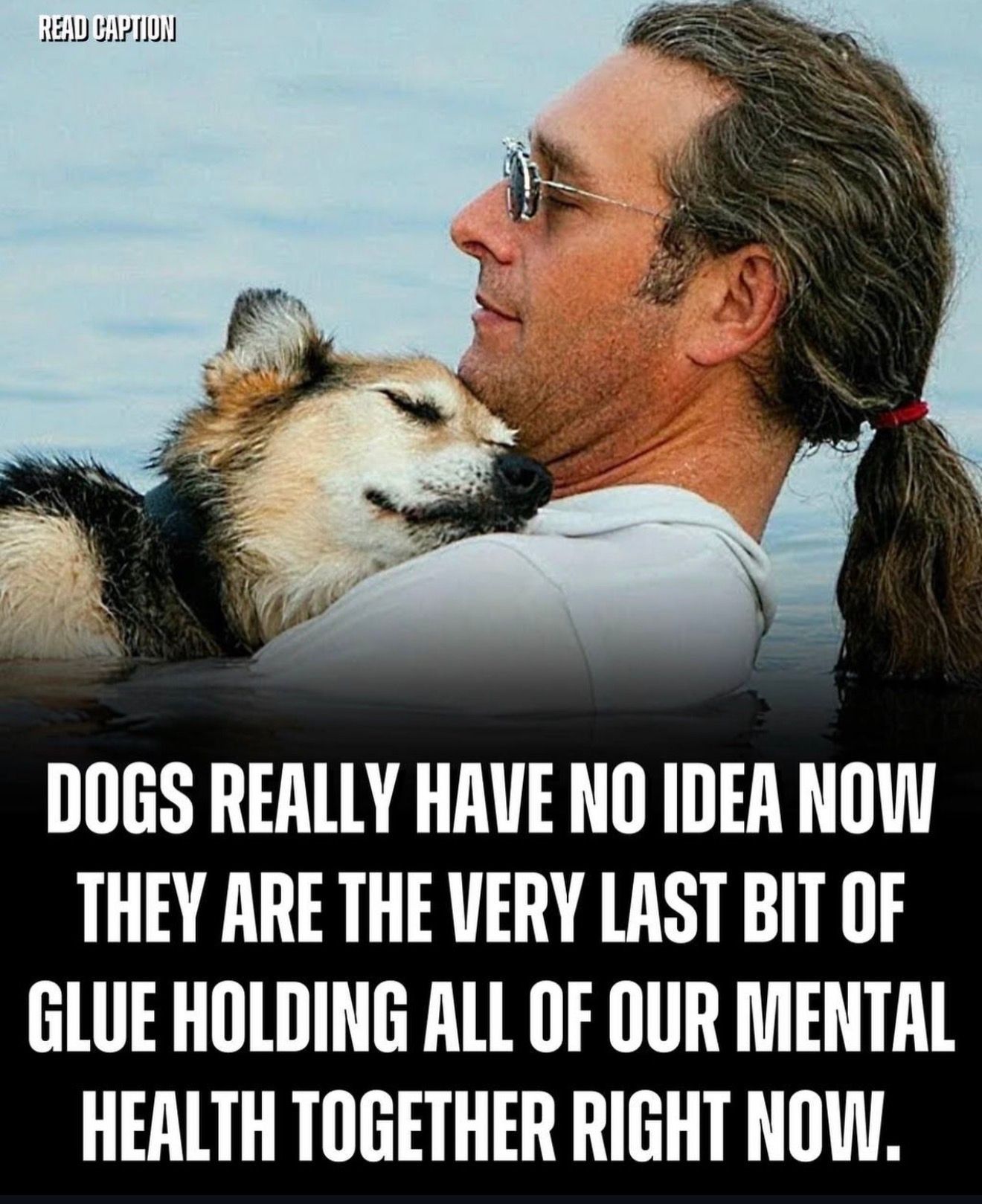 ❤️
#dogs