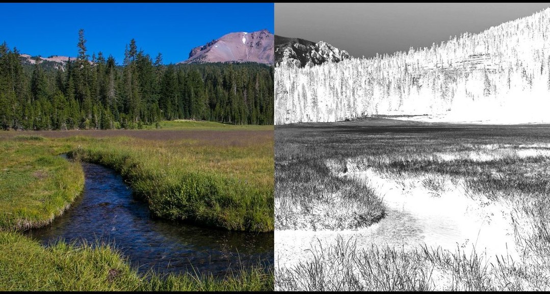 We Are Bombarding America’s Forests With Roundup http://news.usaunify.org/TSFMZH