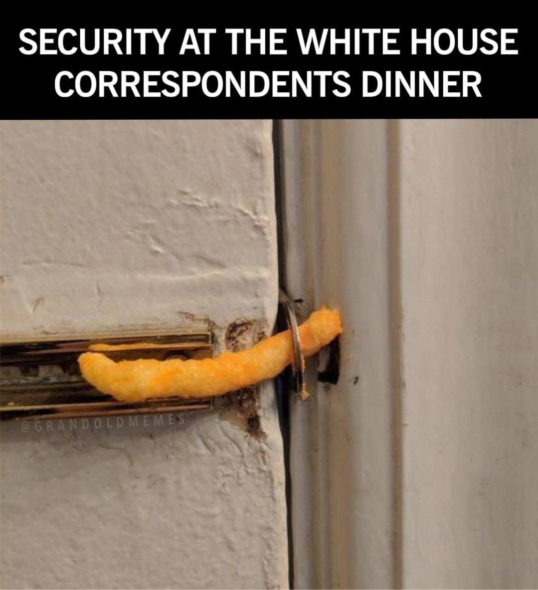 Hello “MAGA Cabinet”