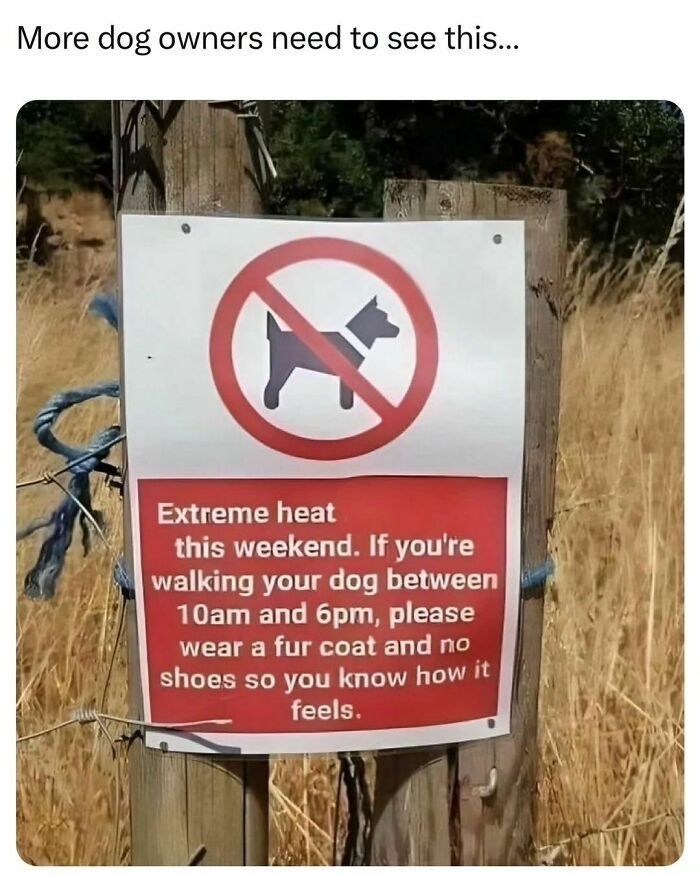 Since #dogs 🐕 are keeping some of sane, remember to protect your dog or pet. A…