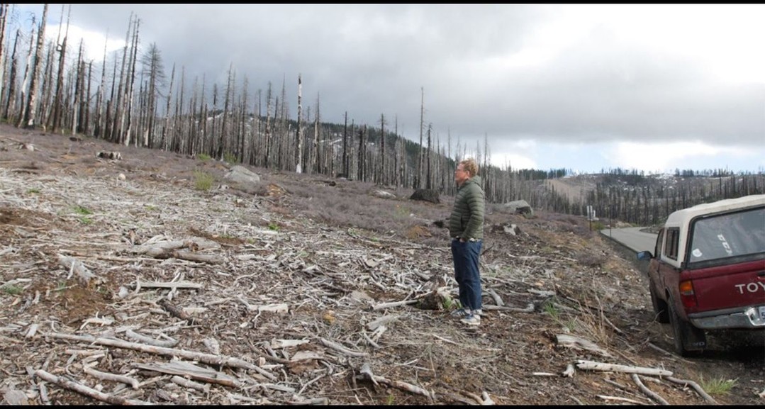 Locals Didn’t Think Roundup Was Being Sprayed Near Lake Tahoe. So I Went to…