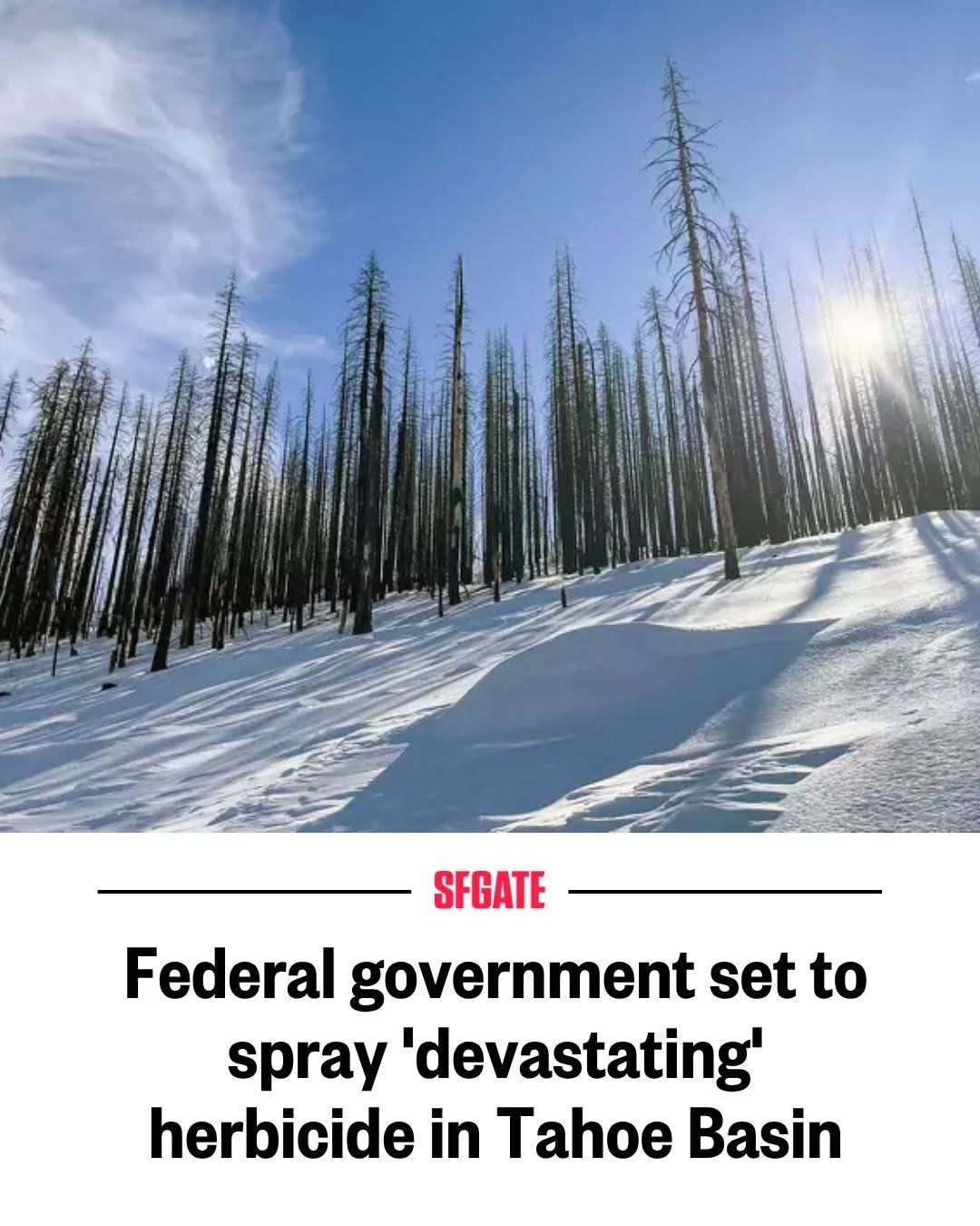 Oh no! These f’ing ____  #tahoe