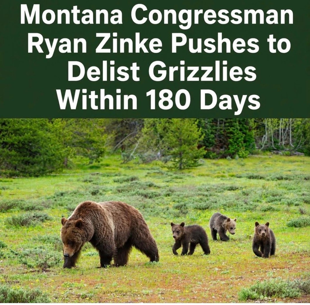 WTF is with these people, clearly protecting }wildlife and public land is…