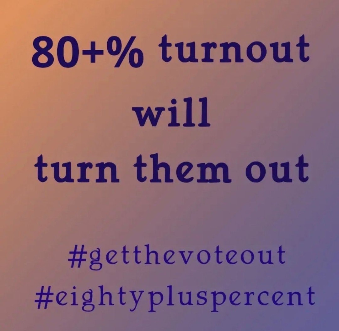 We have the numbers #midterms #voteblue #getthevoteout #eightypluspercent