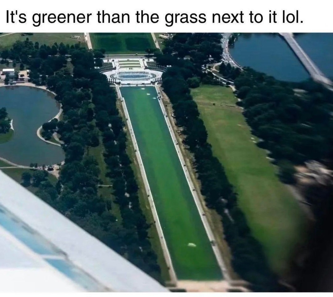 #MAGA