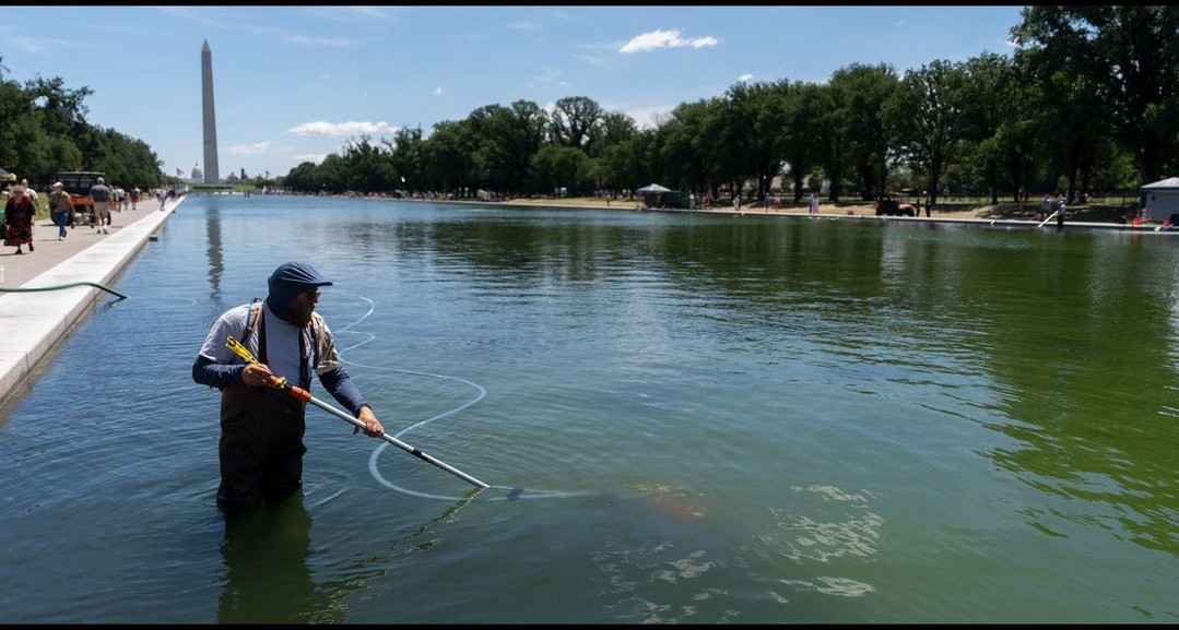 Trump Tries To Blame Reflecting Pool Woes On Vandalism, Says It Will Likely Be…