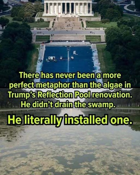 The perfect metaphor indeed
#draintheswamp