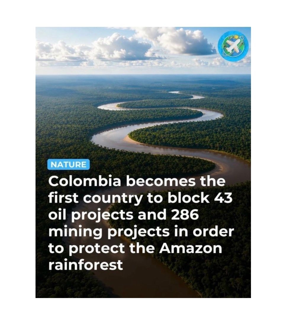 We did it, we found some good news! #science #nature #Columbia. #America is not…