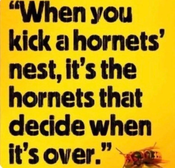 Are you a hornet?