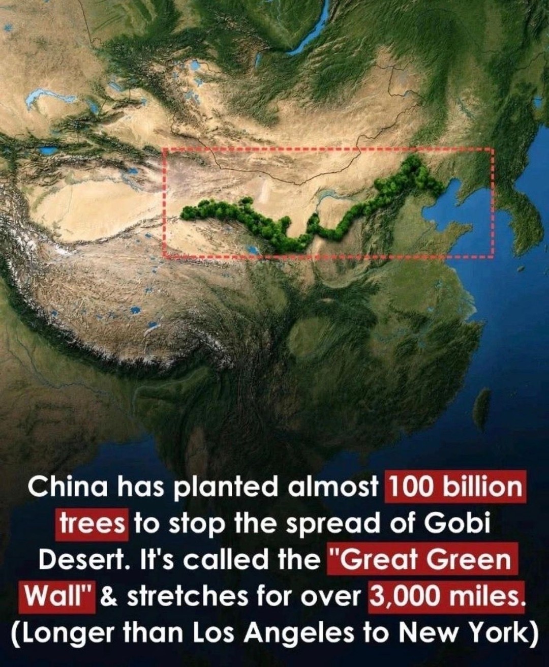 #MAGA wants to drill all public lands & parks, increase pollution of water…