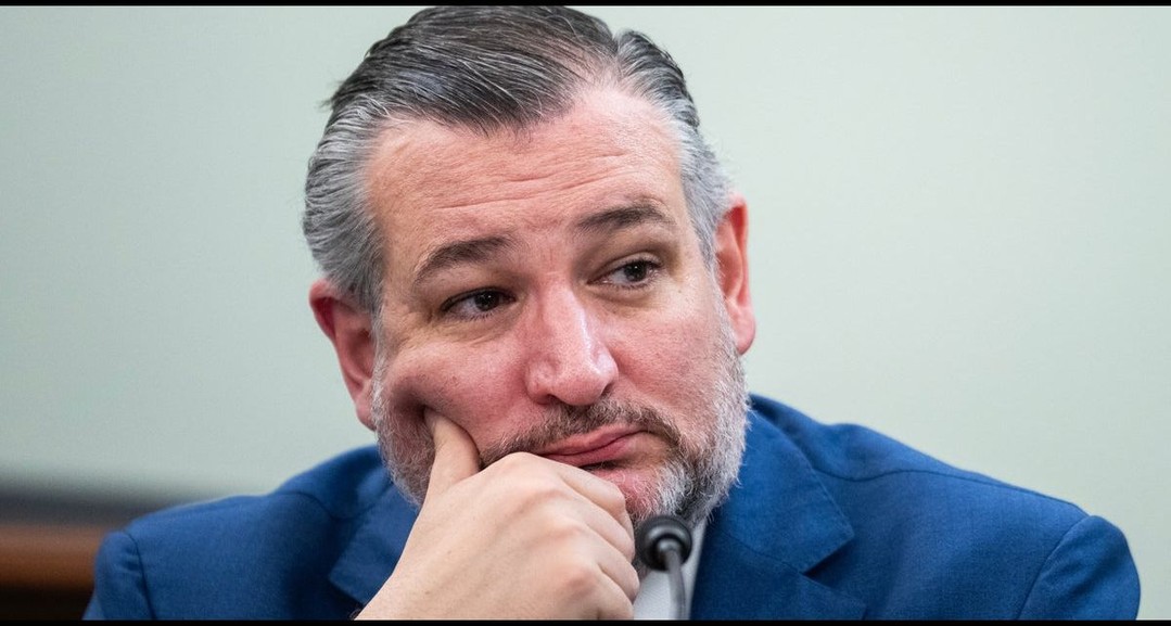 Ted Cruz Ranted About ‘Crazy People’ In Politics And You Know What Happened…